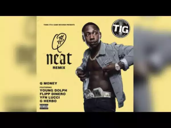 Q Money - Neat (Remix) Ft. Young Dolph, YFN Lucci, Flipp Dinero & G Herbo
